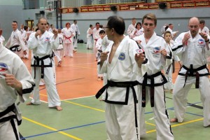 Taekwondo Toruń Działdowo Mława (8)